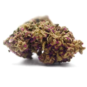 CBD Hemp Purple Queen 1g