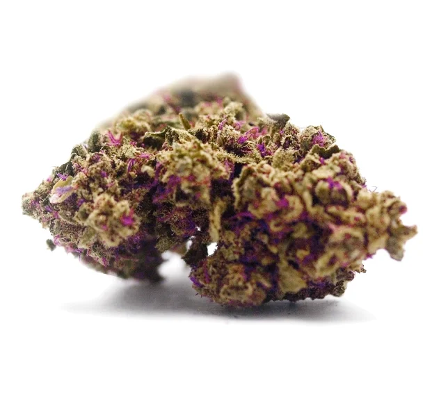 CBD Hemp Purple Queen 1g